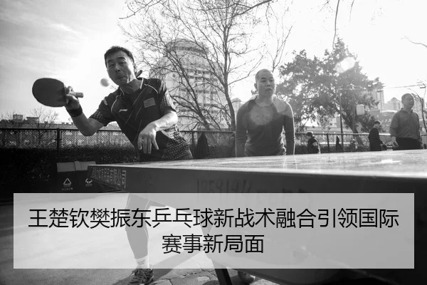 王楚钦樊振东乒乓球新战术融合引领国际赛事新局面（HTH SPORTS）